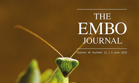 EMBO Cover No. 2