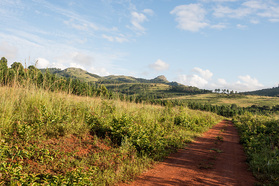 Typische Landschaft in Swasiland