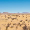 Halbw&uuml;ste am Rande der Namib