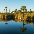 Spiegelglatte Wasser zwischen den Tausenden Inseln in den Everglades
