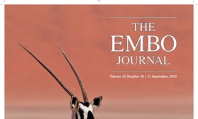 EMBO Cover