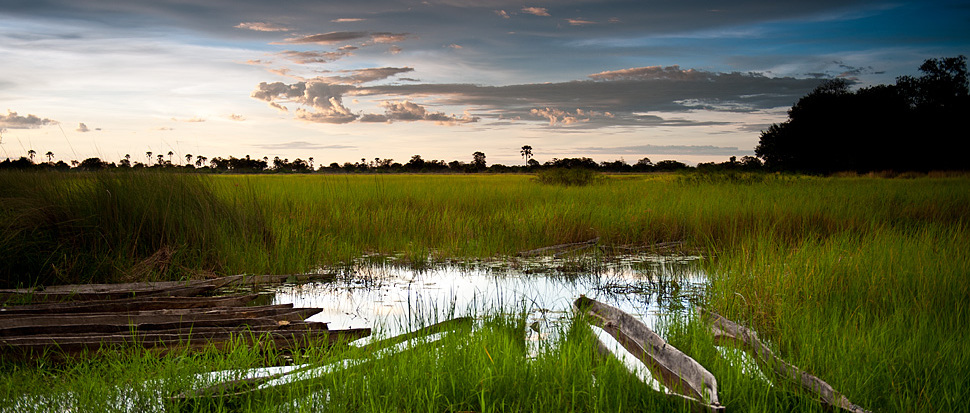 Sonnenuntergang im Moremi Game Reserve