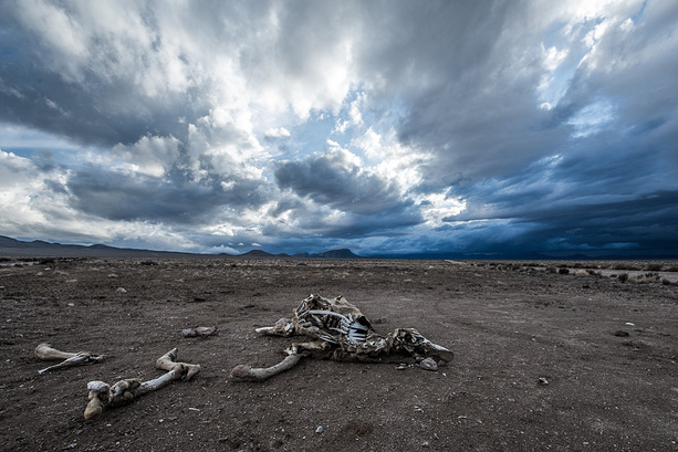Dunkle Wolken über der Wüste Nevadas