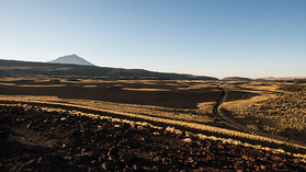 Wüstenlandschaften im Reserva Provincial El Payén