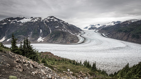 Salmon Gletscher: 