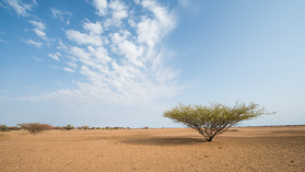 Die Halbwüste am Westufer des Turkanasees