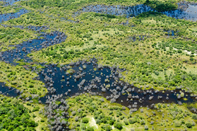 Okavango Delta aus dem Kleinflugzeug