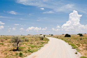Landschaft im Kgalagadi Transfrontier Nationalpark