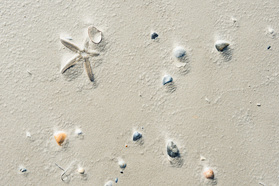 Sandbildnis am Strand von St. George Island