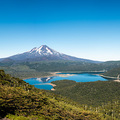 Der Llaima Vulkan im Lago Conguill&iacute;o Nationalpark umrahmt von Araukarien