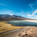 Leuchtende Farben im Altiplano von Chile