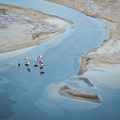 Chilenische Flamingos an der Laguna Santa Rosa beim Paso San Francisco