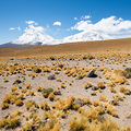 Der Hausberg von San Pedro de Atacama: Licancabur