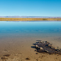 Laguna Cejar auf dem Salar de Atacama