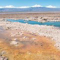 Farbenspiel an der Laguna Chaxa im Salar de Atacama