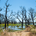 Feuchtgebiete im Moremi Nationalpark