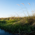 Ein enger Kanal im Okavango Delta