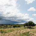 Gewitterstimmung &uuml;ber der Kalahari