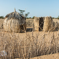 Typische Turkana-Behausung