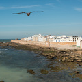 Aussicht auf die Medina von Essaouira