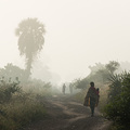 Nebelstimmung zwischen Zambezi und Shire