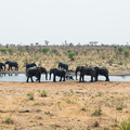 Reichlich Elefanten im Kaudom Nationalpark