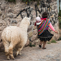 Mit Kind und Alpaka durch Cusco