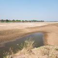 Trockenzeit im Flussbett des Luangwa