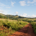 Typische Landschaft in Swasiland