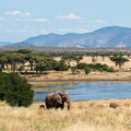 Elefanten im Ruaha Nationalpark