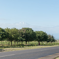 Eiskappe &uuml;ber den Wolken: der Kilimanjaro
