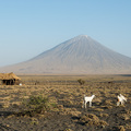Oldoinyo Lengai, der heilige Berg der Maasai