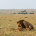 Serengeti!