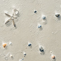 Sandbildnis am Strand von St. George Island