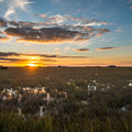 Sonnenuntergang &uuml;ber den S&uuml;mpfen der Everglades