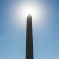 Im Schatten des Washington Monuments