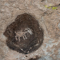 Dickhornschaf als Petroglyphe am Irish Mountain, Nevada