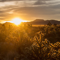 Sonnenuntergang an der Mojave Road