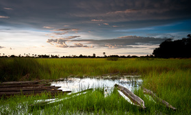 Sonnenuntergang im Moremi Game Reserve