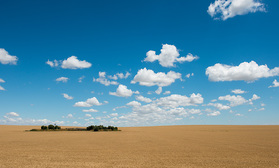 Ausgedehnte Felder in der Provinz Buenos Aires
