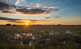 Sonnenuntergang über den Sümpfen der Everglades